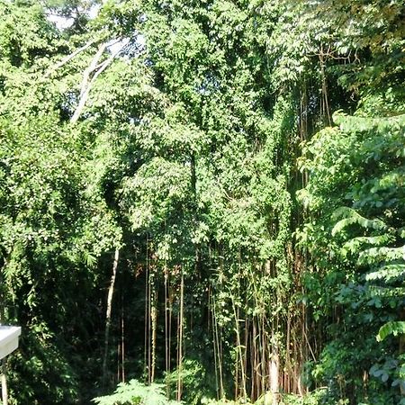 ラトゥグ ホームステイ ウブド エクステリア 写真